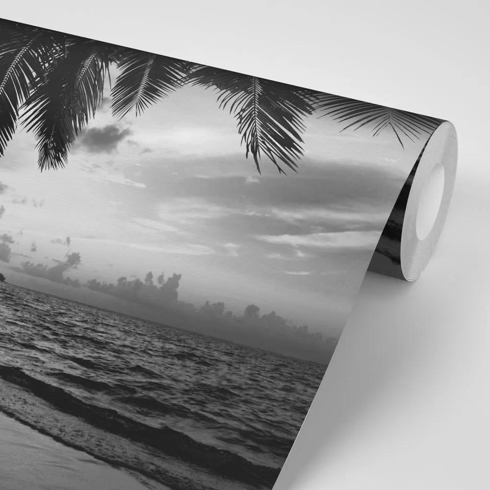 Samolepiaca fototapeta čiernobiela karibská pláž - 225x150