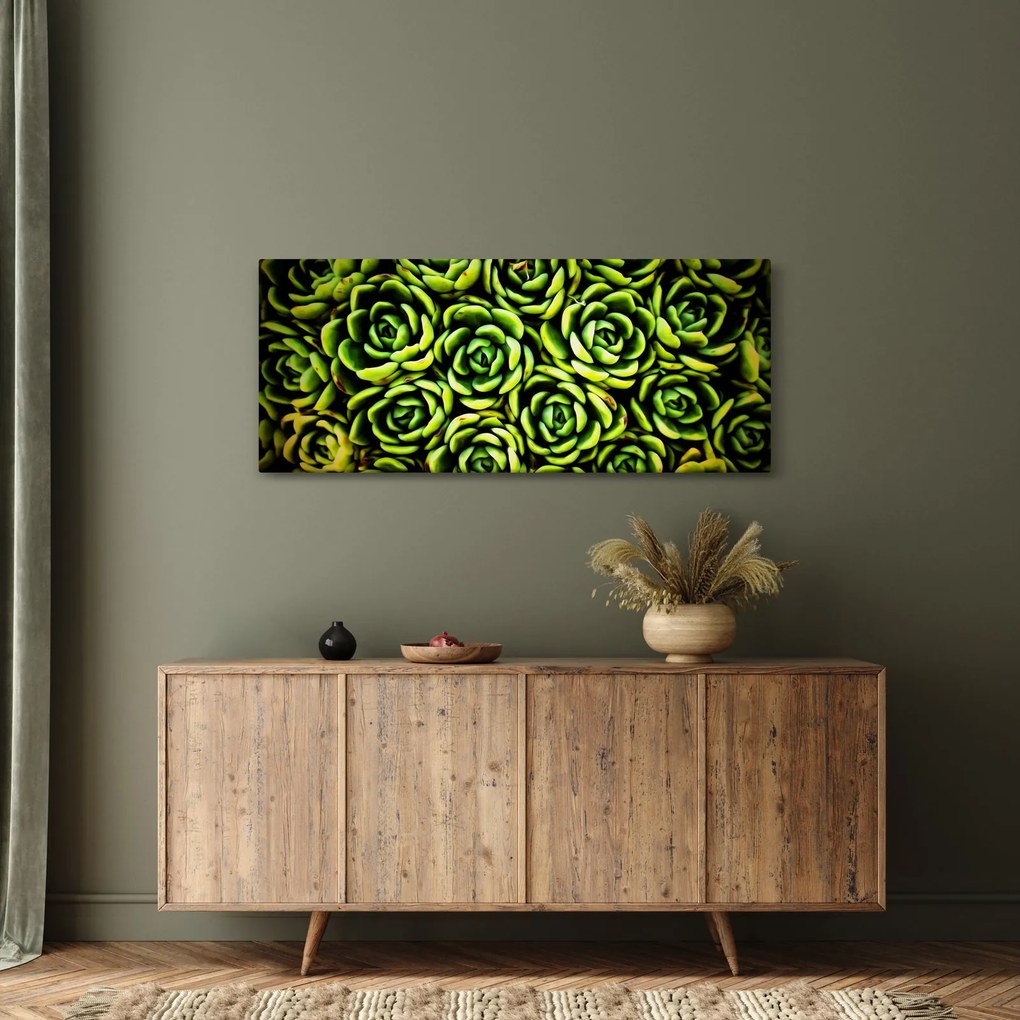 Obraz skalníc (120x50 cm)