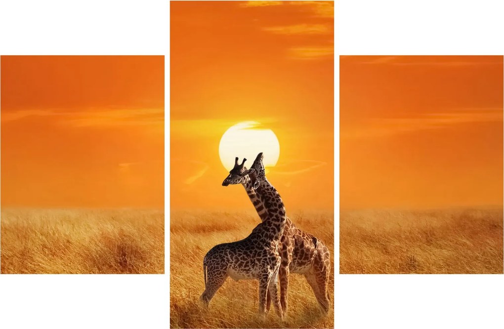 Obraz - Žirafy v národnom parku Serengeti (90x60 cm)