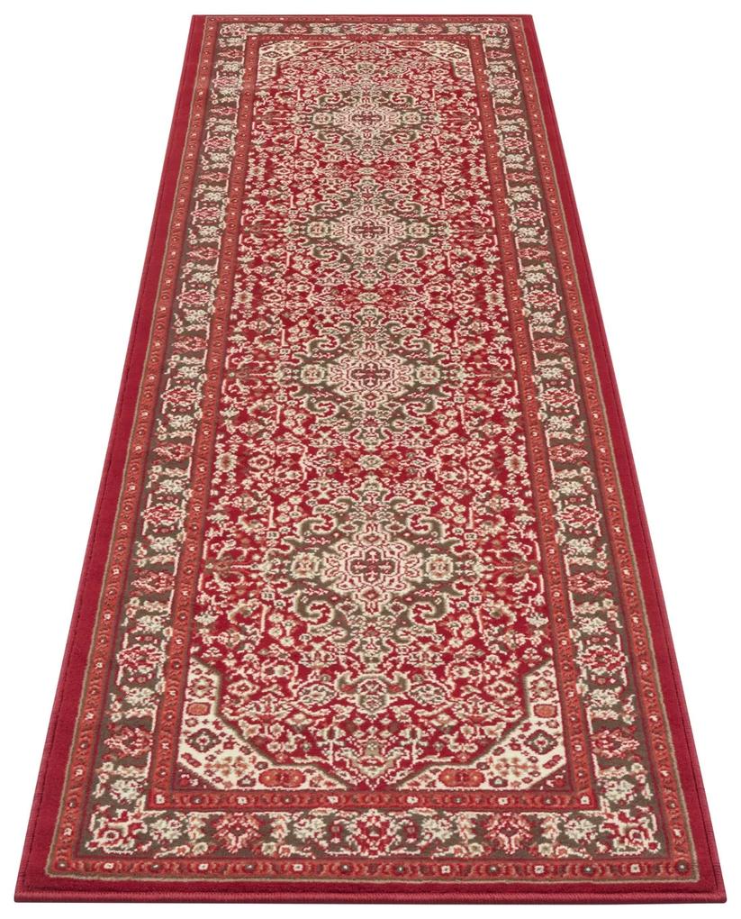 Nouristan - Hanse Home koberce Kusový koberec Mirkan 104098 Oriental red - 200x290 cm