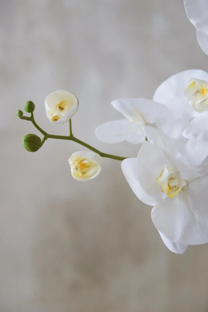Umelá orchidea ORCHIDELIS, plast, výška 87 cm, biela