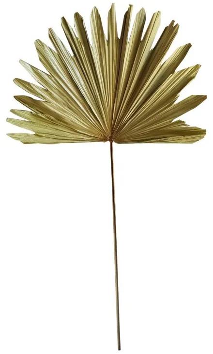 Hnedý usušený dekoratívne list Palmy - 96 cm