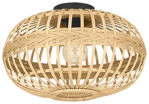 Eglo 43723 - Stropné svietidlo AMSFIELD 1xE27/40W/230V