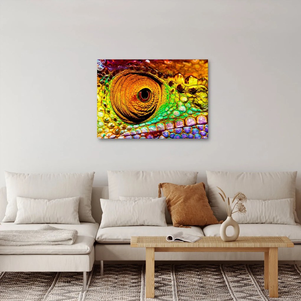 Obraz - Chameleon (70x50 cm)