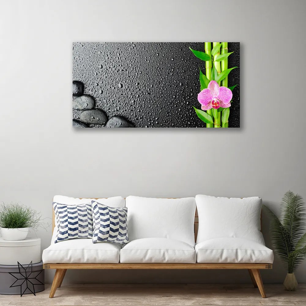 Obraz Canvas Bambus stonka kvet rastlina 140x70 cm