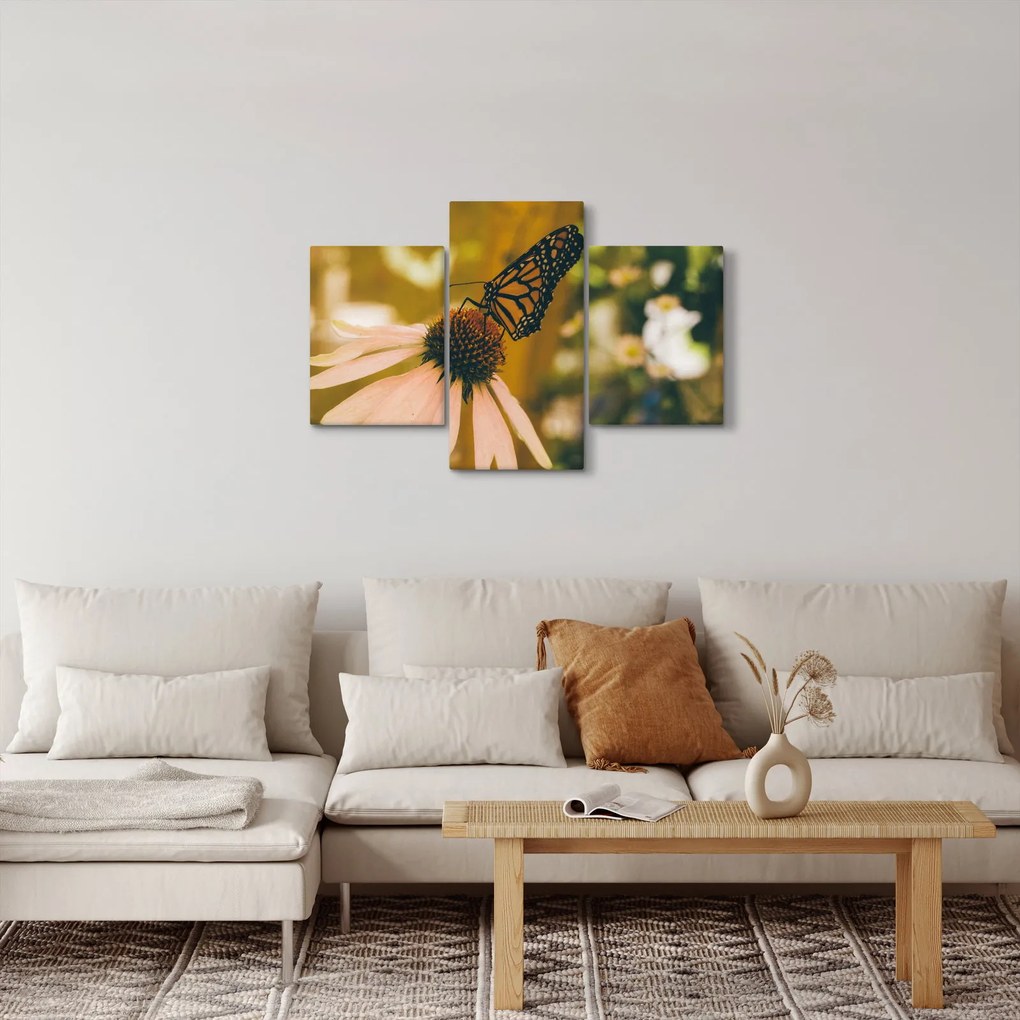 Obraz motýľa na kvetine (90x60 cm)