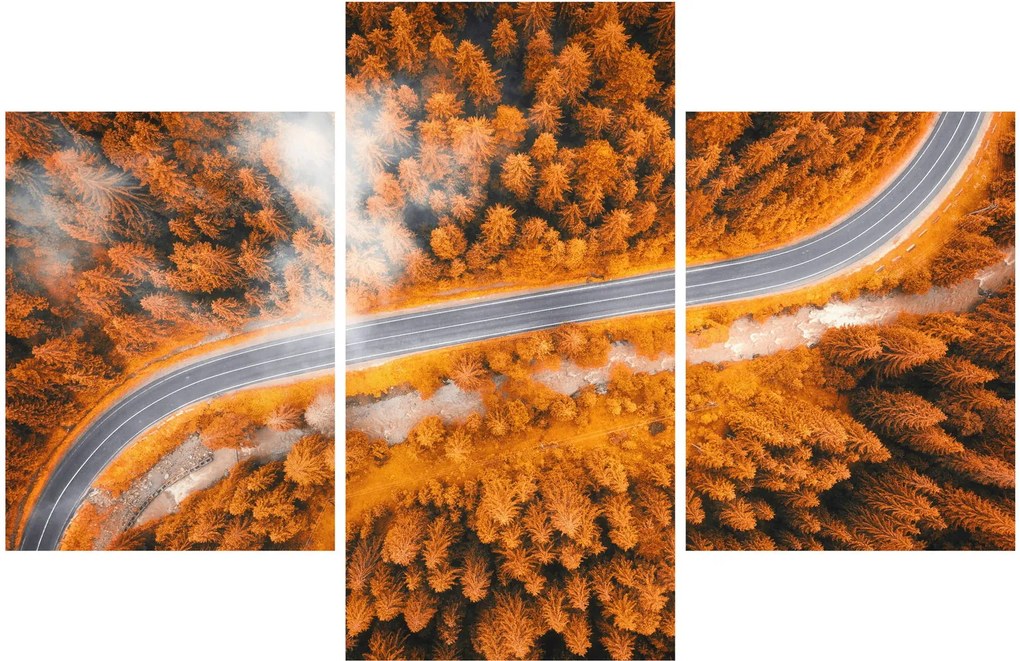 Obraz - Horská cesta (90x60 cm)