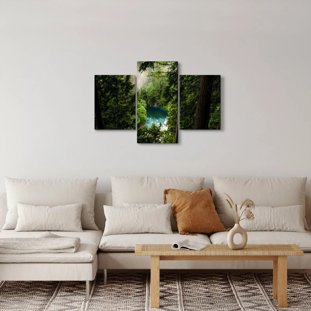 Obraz - Priezor medzi stromami (90x60 cm)
