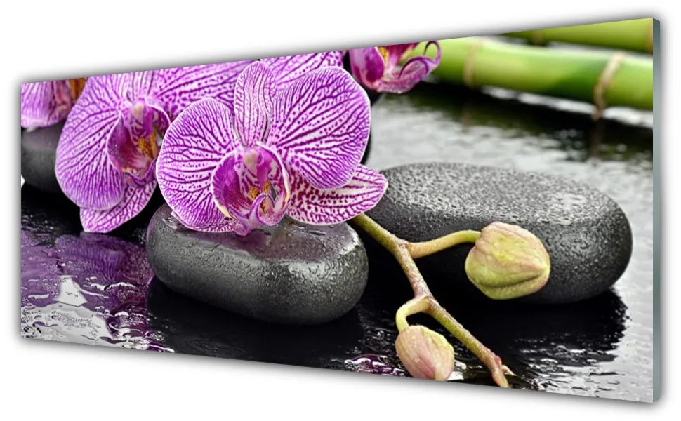 Obraz plexi Kamene zen orchidea kúpele 125x50 cm