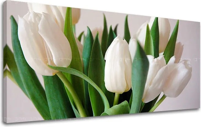 Obraz na stenu Panoráma KVETY XOBKV108E13 - 70x140 cm