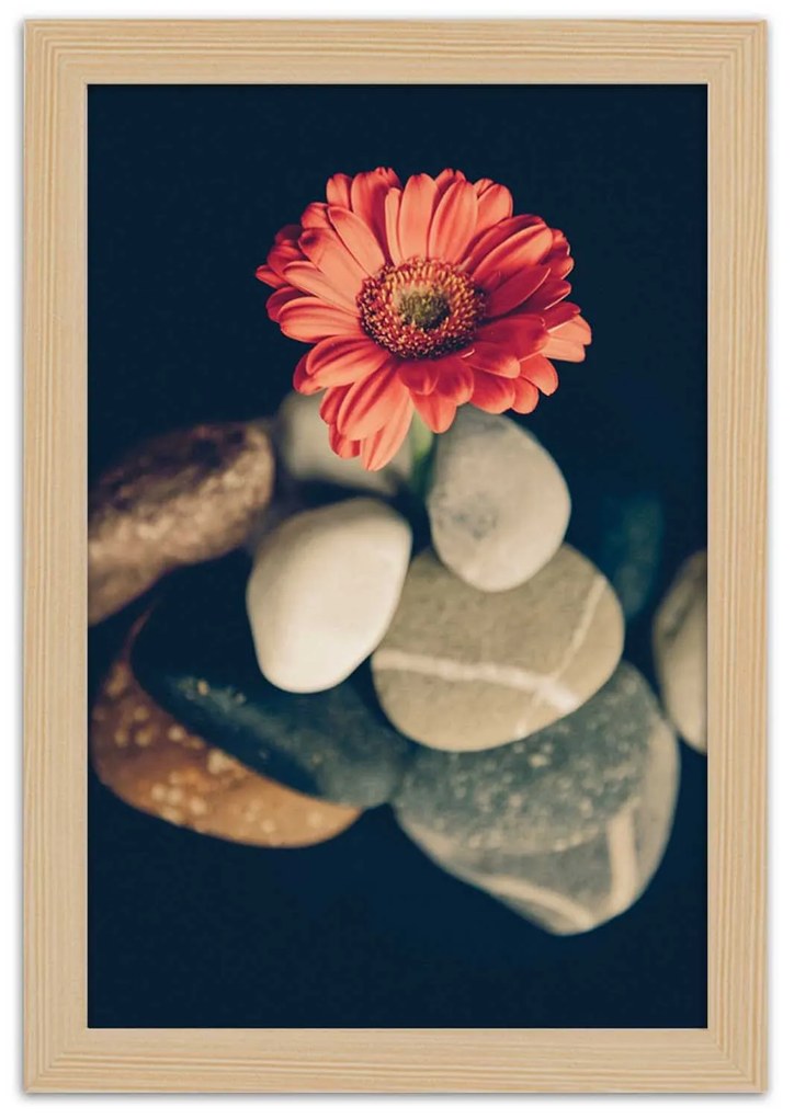 Gario Plagát Gerbera a kamene Farba rámu: Bez rámu, Rozmery: 40 x 60 cm