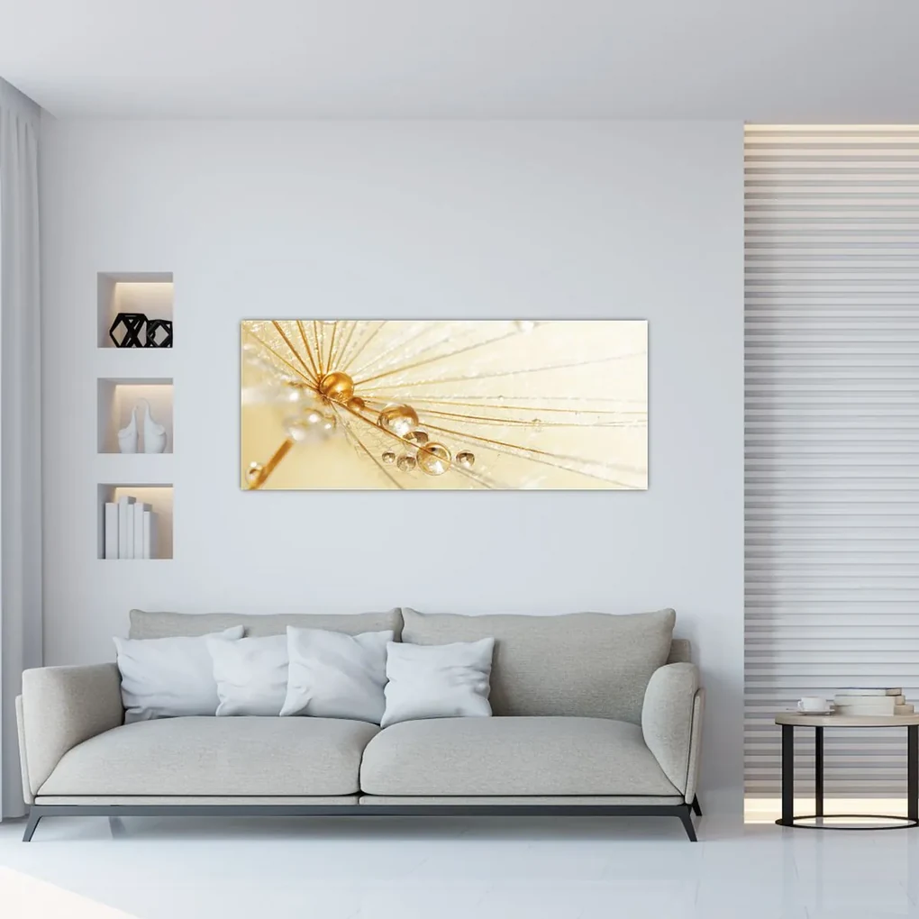 Obraz - Makro fotografie púpavy (120x50 cm)