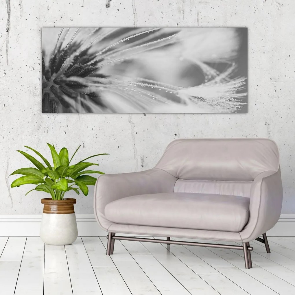 Obraz - Púpava (120x50 cm)