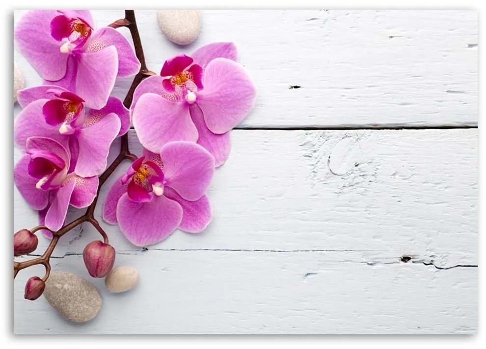 Obraz na plátně Růžové orchideje Květina - 100x70 cm