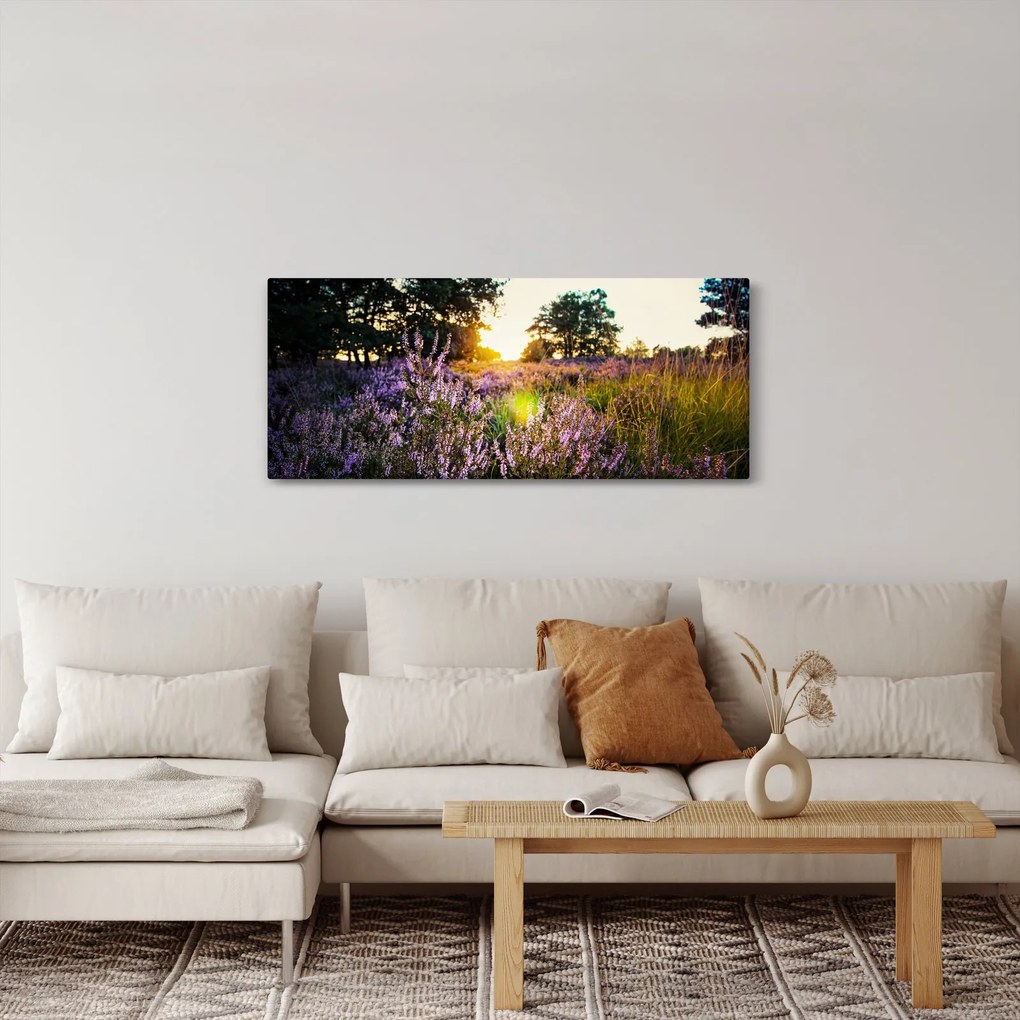 Obraz poľa levanduľou (120x50 cm)