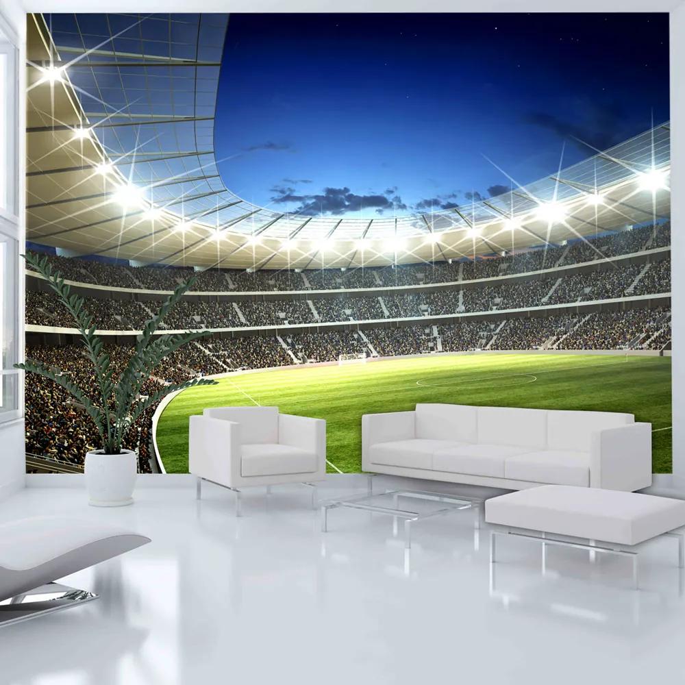 Fototapeta Bimago - National stadium + lepidlo zadarmo 200x154 cm