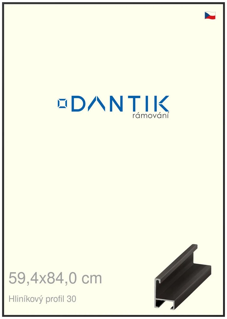 DANTIK rám na obraz 59,4x84 | ALU Černá matná (Plexi Čiré)