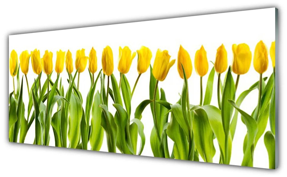 Obraz plexi Tulipány kvety príroda 125x50 cm