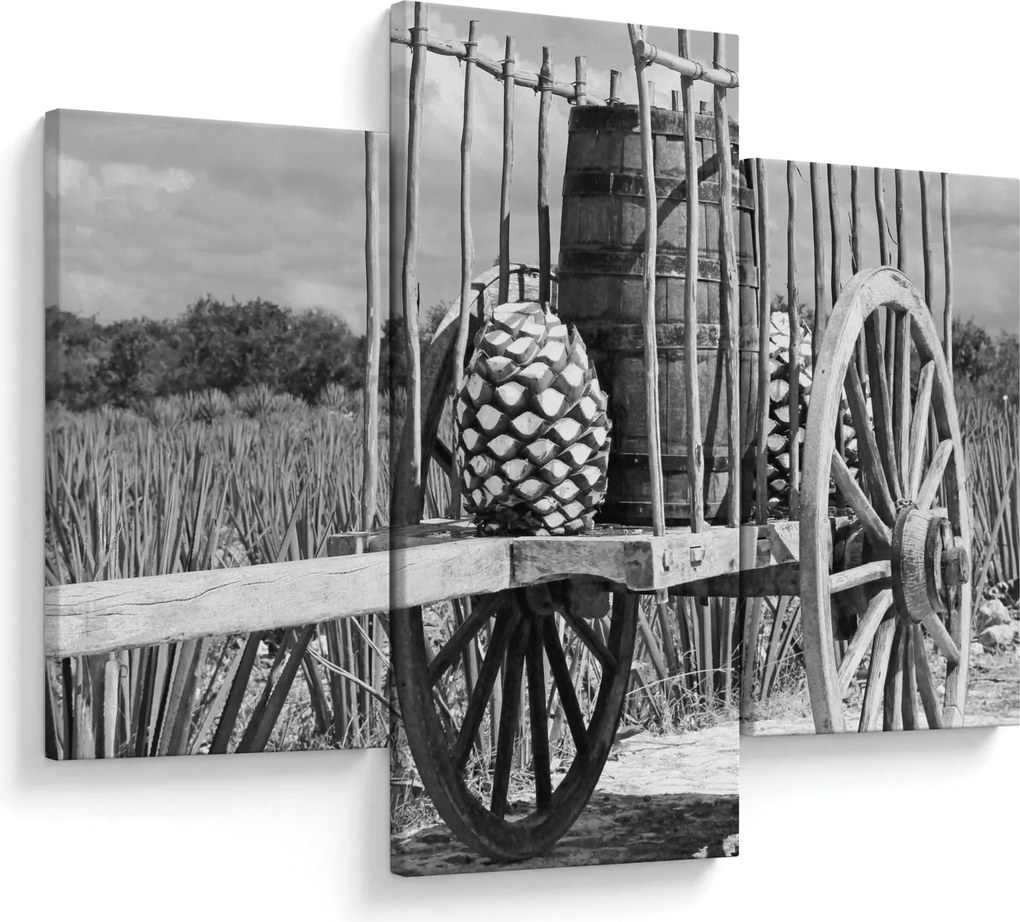 Obraz - Prívesný vozík, čiernobiela (90x60 cm)