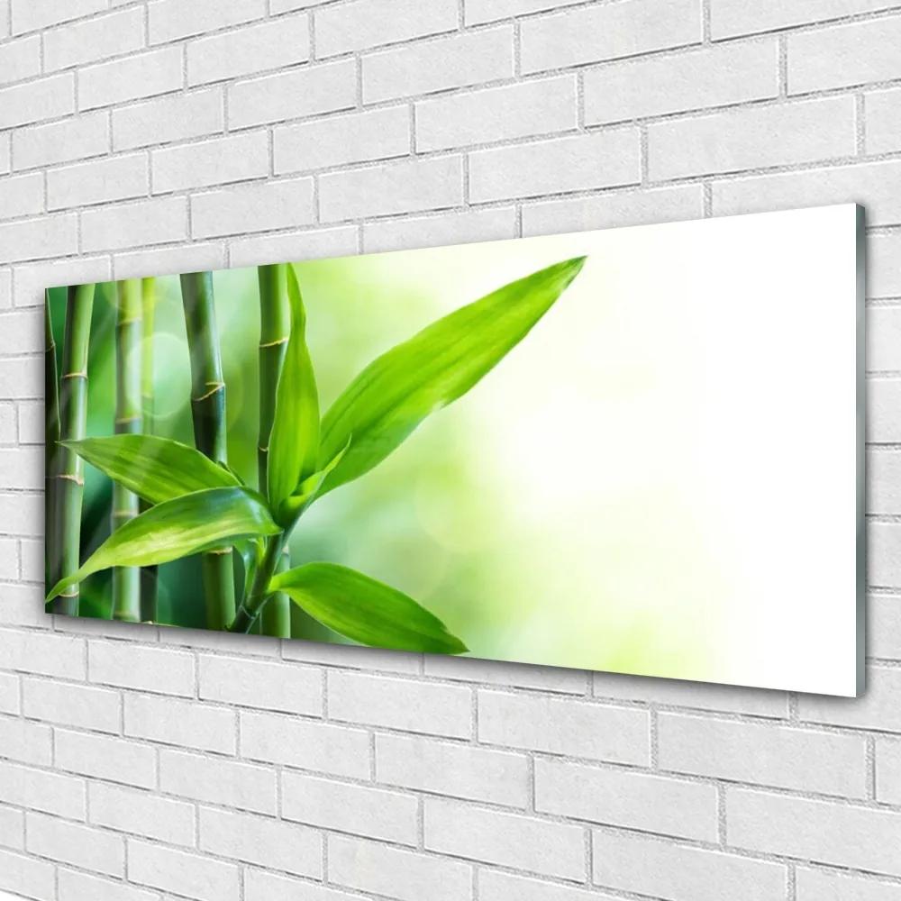 Obraz plexi Bambus list rastlina príroda 125x50 cm