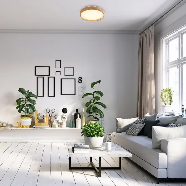 Rabalux 71143 - LED Stropné svietidlo LEANA LED/12W/230V 3000K pr. 26 cm