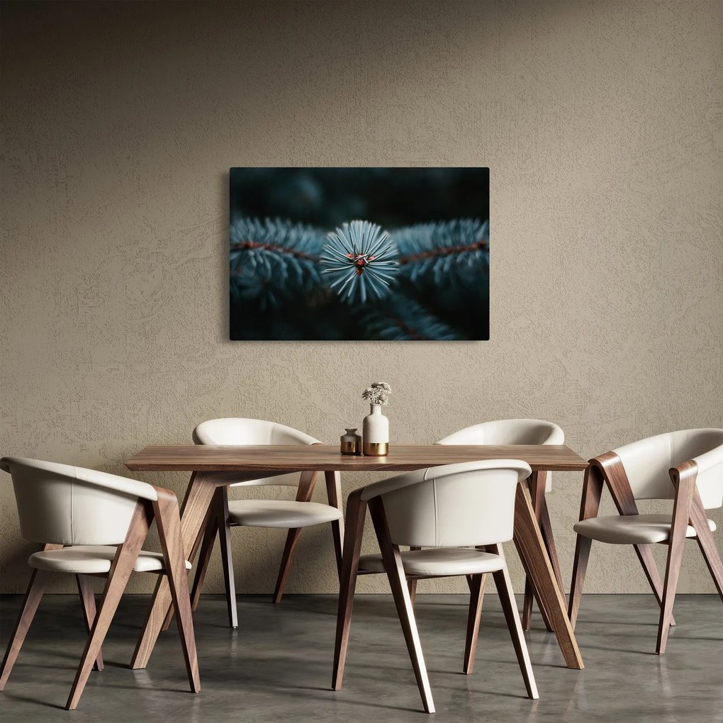 Obraz vetvičky ihličnatého stromu (90x60 cm)