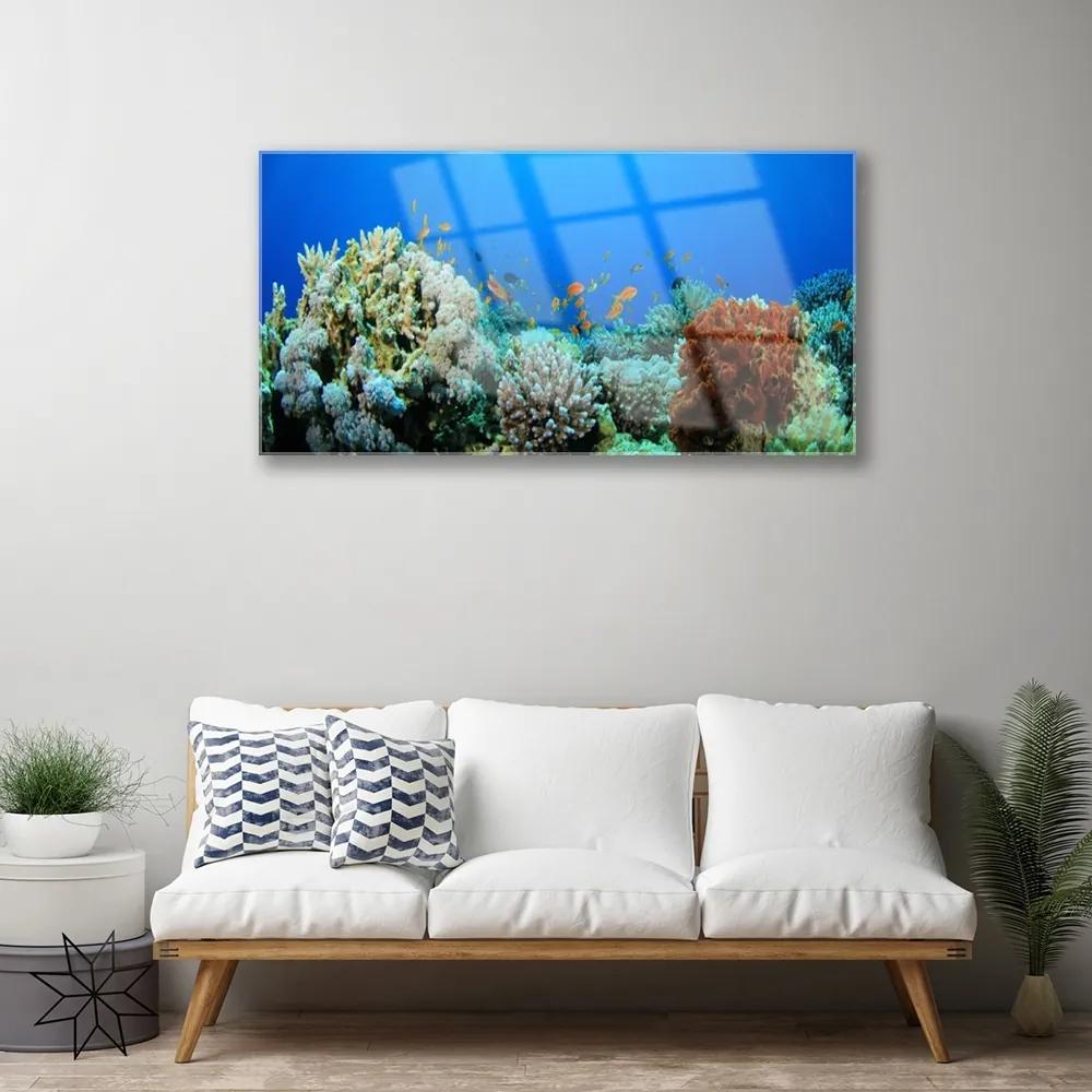 Skleneny obraz Koralový útes príroda 120x60 cm