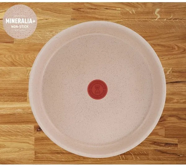 Tefal - 17-dielna sada riadu INGENIO DELIGHT