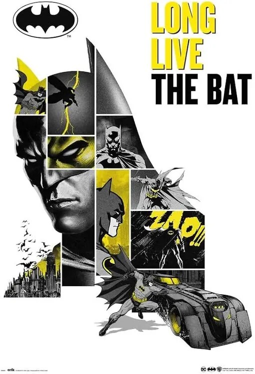 Plagát, Obraz - Batman - 80th Anniversary, (61 x 91.5 cm)