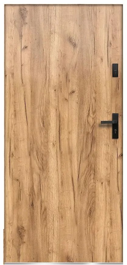 Dvere vchodové Artemida P55 90P Dub Sonoma