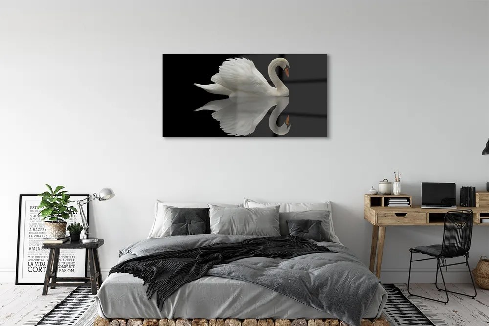 Obraz na akrylátovom skle Swan v noci 125x50 cm