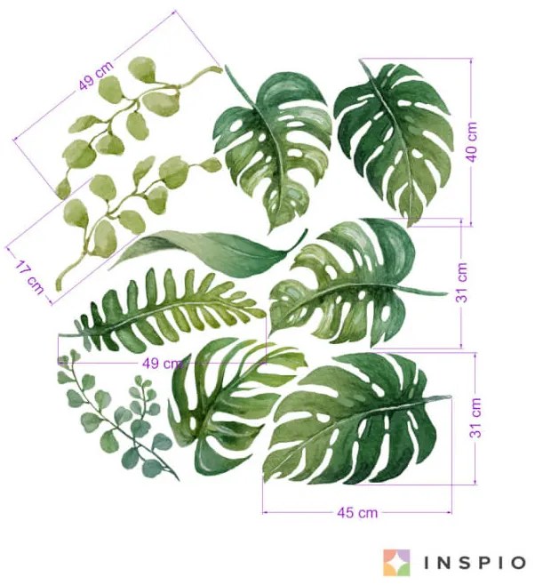 Samolepky na stenu - Tropické listy