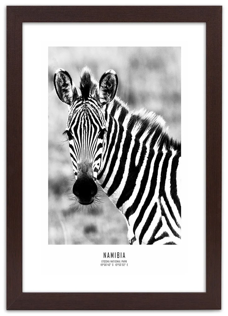 Gario Plagát Zvedavá zebra Farba rámu: Bez rámu, Rozmery: 30 x 45 cm