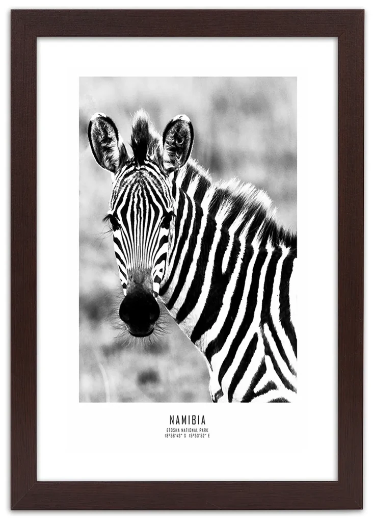 Gario Plagát Zvedavá zebra Farba rámu: Bez rámu, Rozmery: 20 x 30 cm