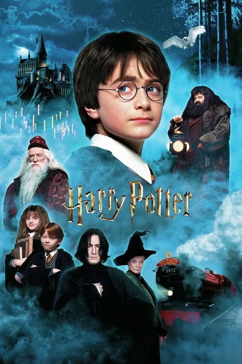 Plagát, Obraz - Harry Potter and the Philosopher‘s Stone, (80 x 120 cm)