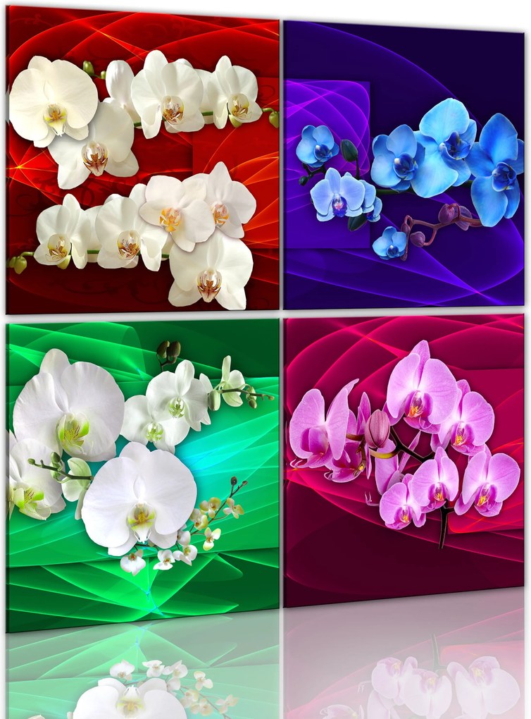 Obraz - Colourful orchids 40x40