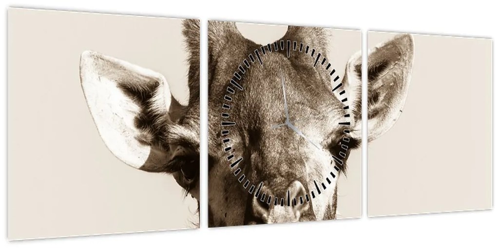 Obraz - Portrét žirafy, vintage (s hodinami) (90x30 cm)