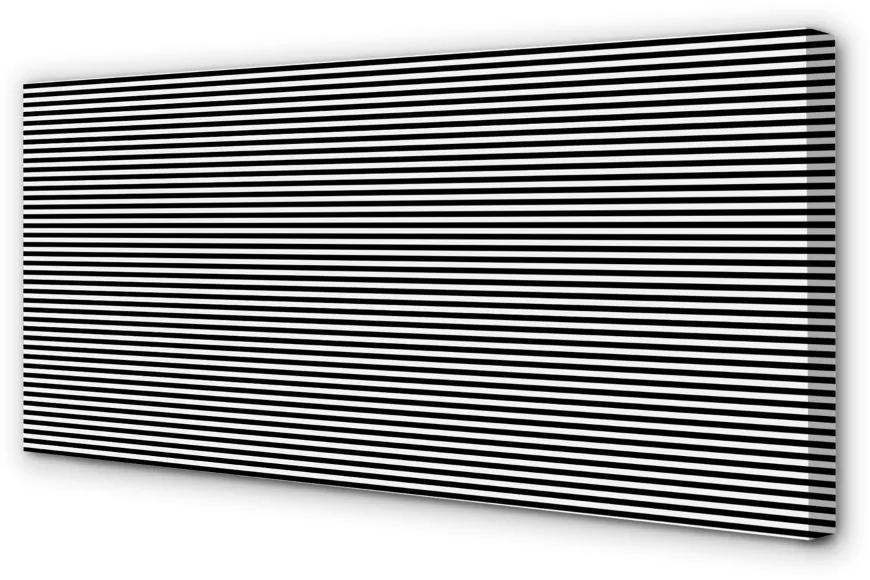 Obraz na plátne zebra pruhy 100x50 cm