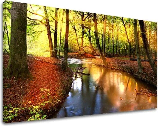 Obraz na stenu STROMY