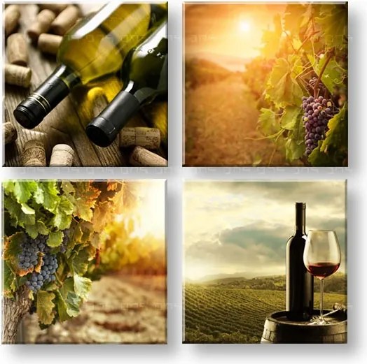 Obraz na stenu Meeting in the vineyard 4 dielny XOBKOL16E42