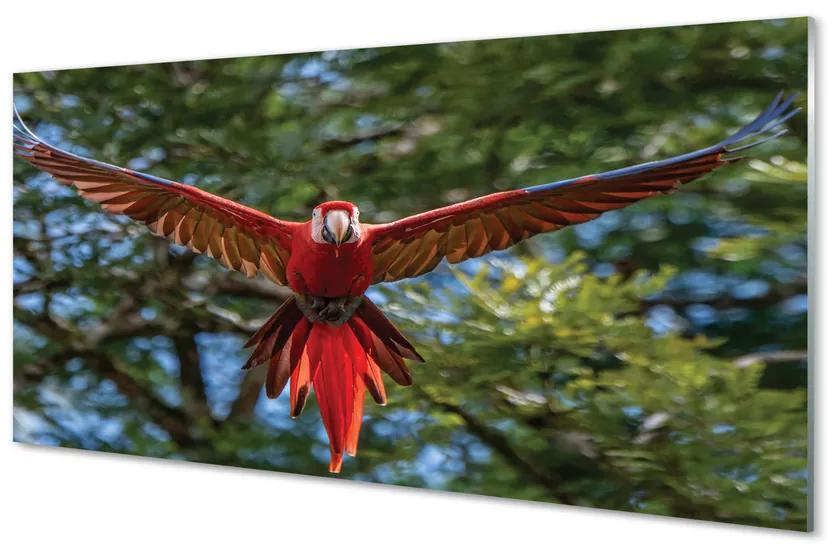 Obraz na akrylátovom skle Ara papagáj 125x50 cm