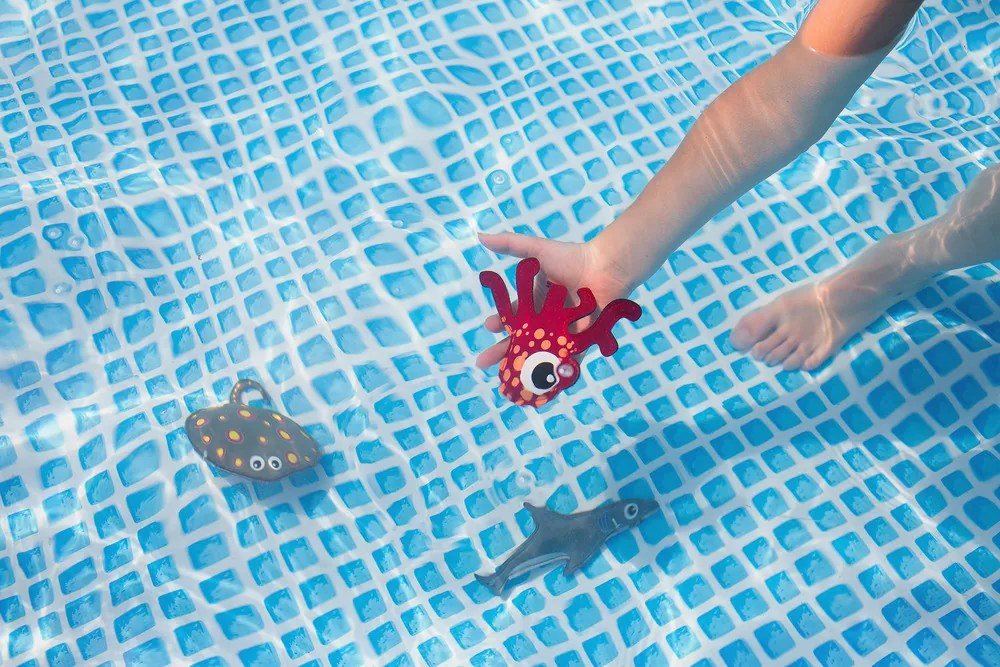 Morské zvieratá pre malých potápačov - hra do vody