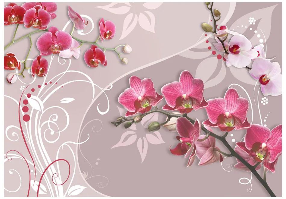 Artgeist Fototapeta - Flight of pink orchids Veľkosť: 100x70, Verzia: Premium