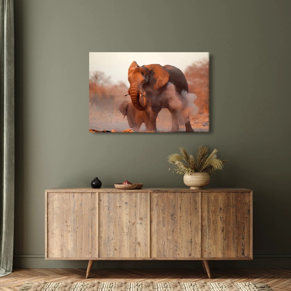 Obraz - Veľký slon africký (90x60 cm)