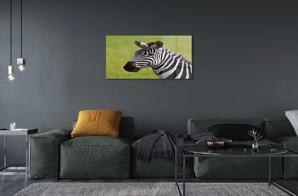 Sklenený obraz zebra 140x70 cm