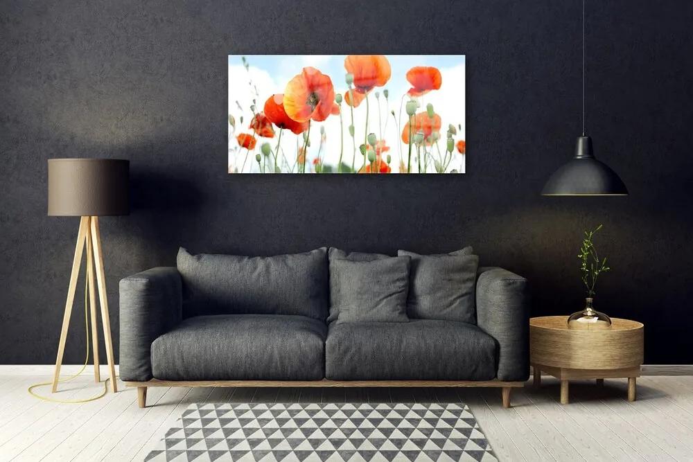 Skleneny obraz Kvety maky lúka pole príroda 120x60 cm