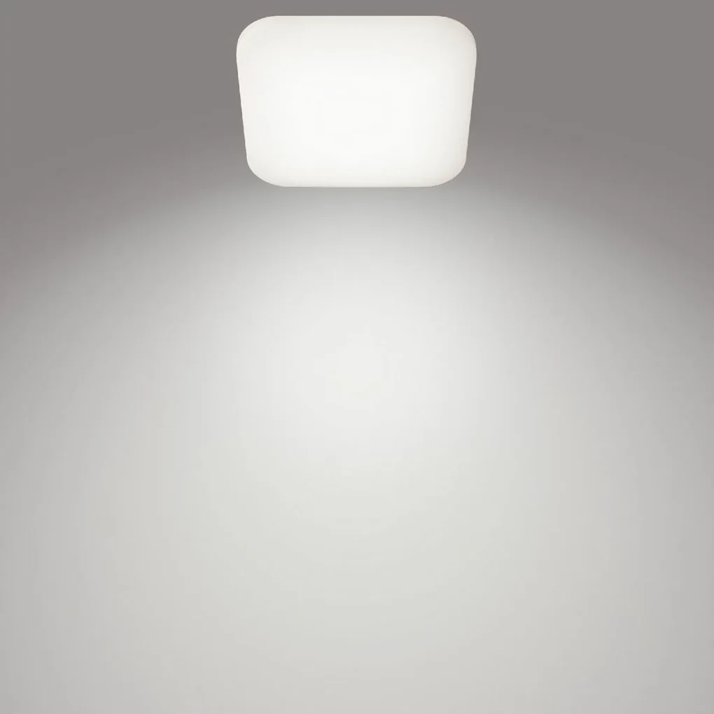 Philips 8720169195479 stropné LED svietidlo Mauve 1x 12 W 1300lm 4000K, pr. 26 cm