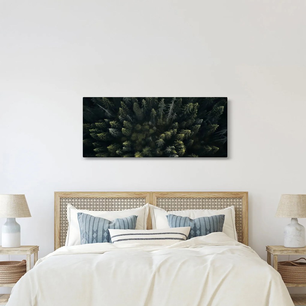 Obraz - Les (120x50 cm)