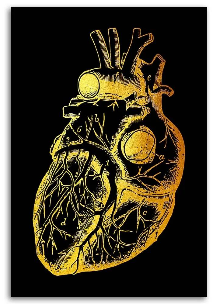 Gario Obraz na plátne Zlatá anatómia, ľudské srdce - Gab Fernando Rozmery: 40 x 60 cm