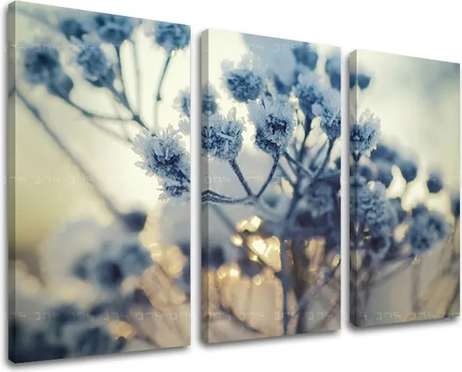 Obraz na stenu KVETY